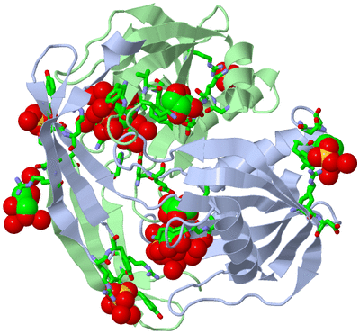 Image Asym./Biol. Unit - sites