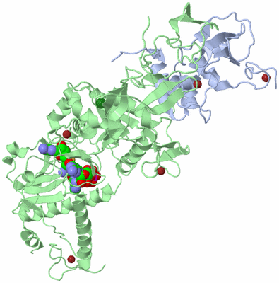 Image Biological Unit 1