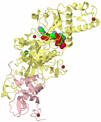 Image Biological Unit 2