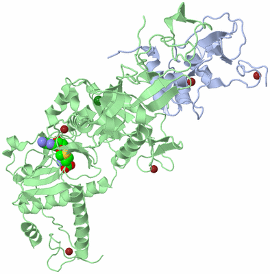 Image Biological Unit 1