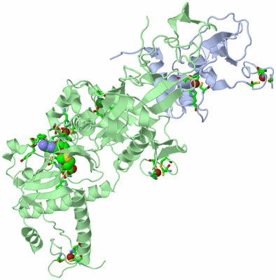 Image Biol. Unit 1 - sites