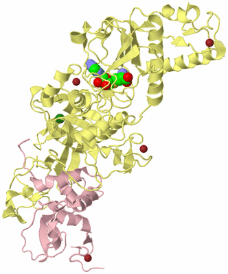 Image Biological Unit 2