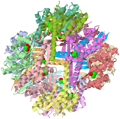 Image Asym./Biol. Unit