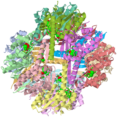 Image Asym./Biol. Unit - sites