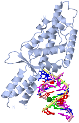 Image Biological Unit 1