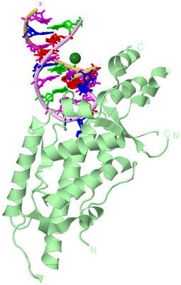 Image Biological Unit 2