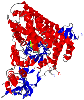 Image Asym./Biol. Unit