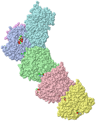 Image Asym./Biol. Unit - sites