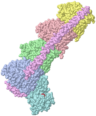 Image Asym./Biol. Unit