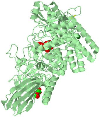 Image Biological Unit 2