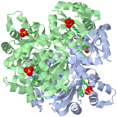 Image Biol. Unit 1 - sites