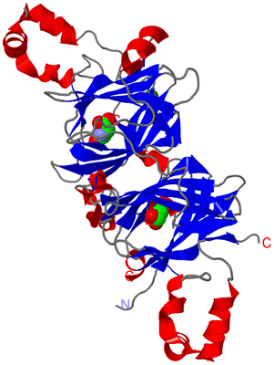 Image Asym./Biol. Unit