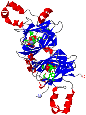 Image Asym./Biol. Unit - sites