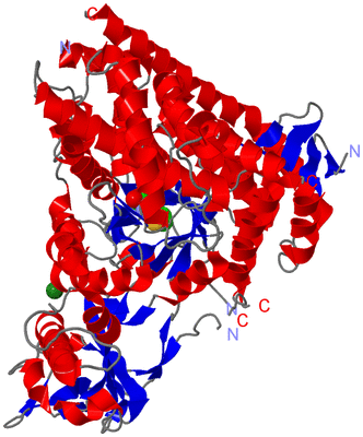 Image Asym./Biol. Unit