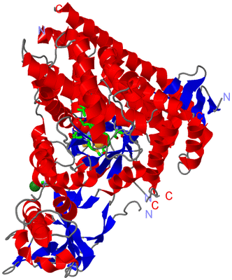 Image Asym./Biol. Unit - sites