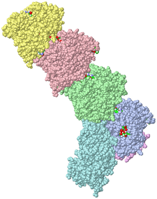 Image Asym./Biol. Unit - sites