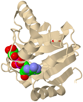 Image Biological Unit 10