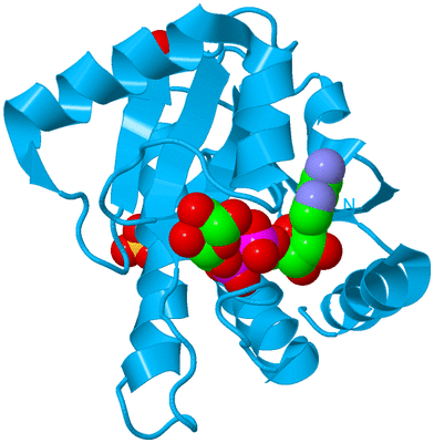 Image Biological Unit 11