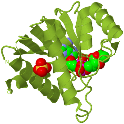 Image Biological Unit 14