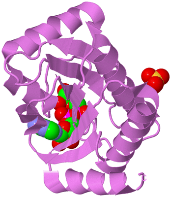 Image Biological Unit 15