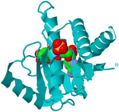 Image Biological Unit 16