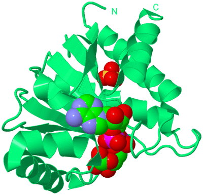 Image Biological Unit 17