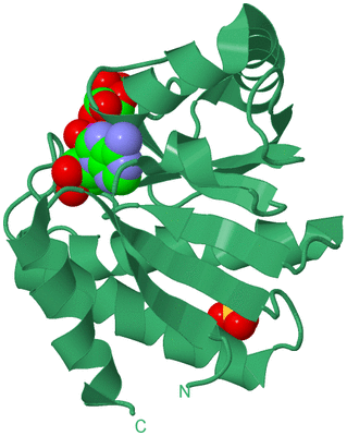 Image Biological Unit 18