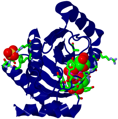 Image Biol. Unit 1 - sites