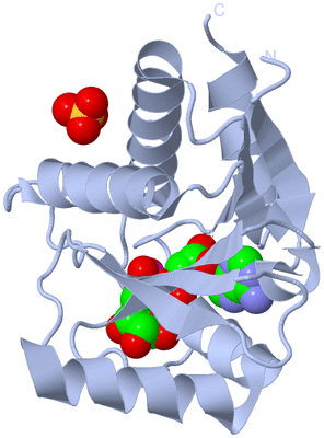 Image Biological Unit 2