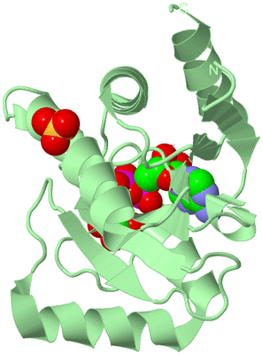 Image Biological Unit 3