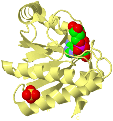 Image Biological Unit 5