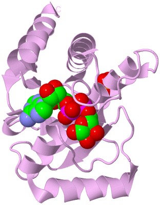 Image Biological Unit 6