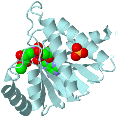 Image Biological Unit 7