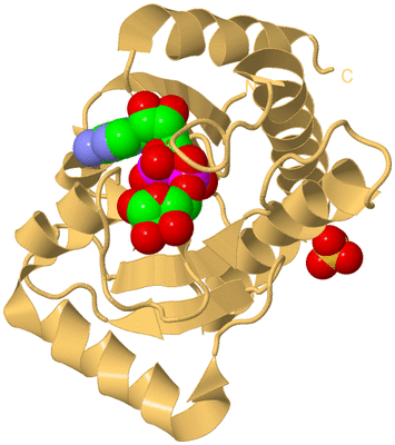 Image Biological Unit 8