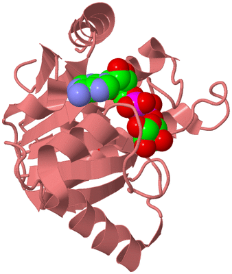 Image Biological Unit 9