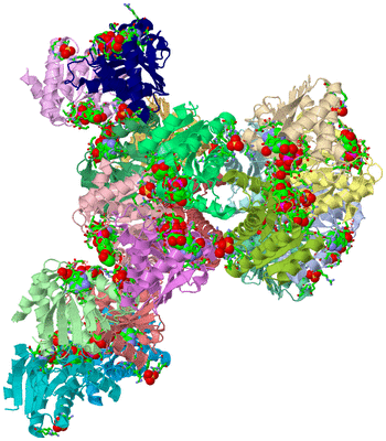 Image Asym. Unit - sites