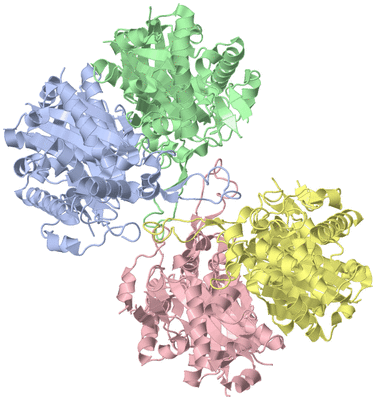 Image Biological Unit 1