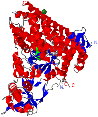 Image Asym./Biol. Unit