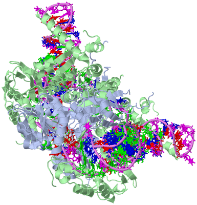 Image Biological Unit 1