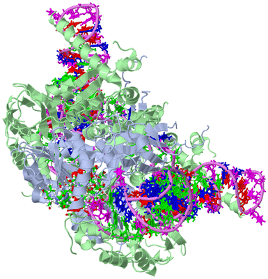 Image Biol. Unit 1 - sites