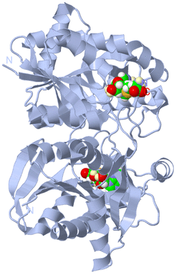 Image Biological Unit 2