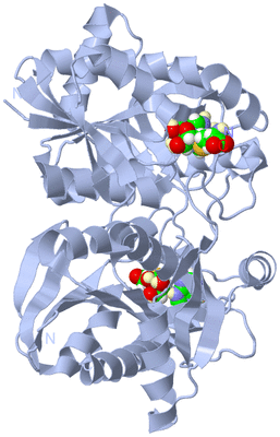 Image Biological Unit 1