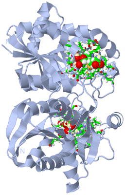 Image Biol. Unit 1 - sites