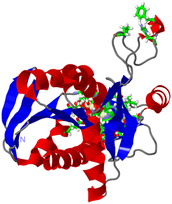 Image Asym. Unit - sites