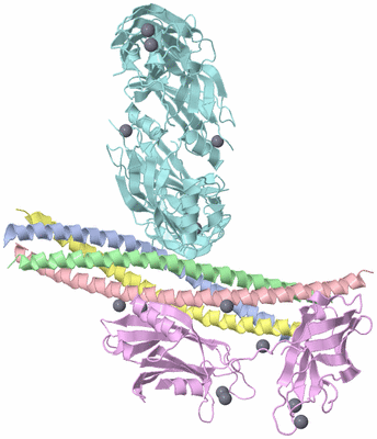 Image Biological Unit 1