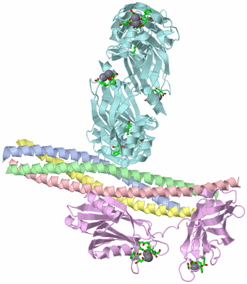 Image Biol. Unit 1 - sites