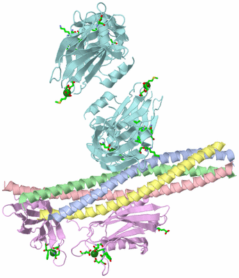 Image Biol. Unit 1 - sites