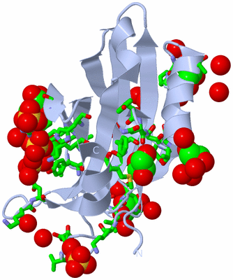 Image Biol. Unit 1 - sites