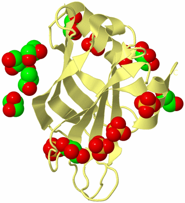 Image Biological Unit 4