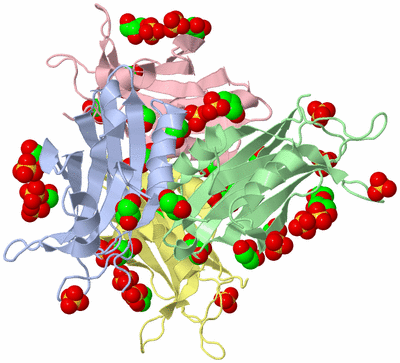 Image Biological Unit 5